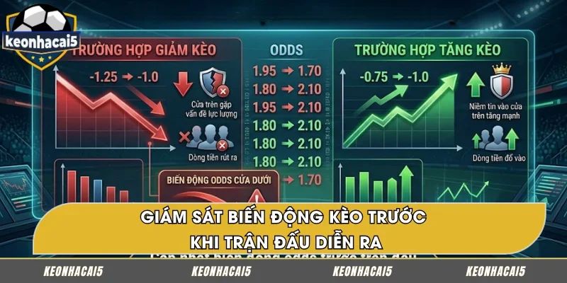 Cập nhật biến động odds trước trận đấu