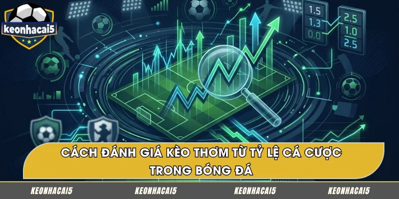 Cách phân tích kèo thơm dựa trên tỷ lệ cược