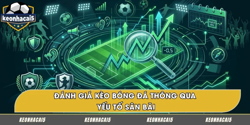 Cách soi kèo hiệu quả dựa trên lợi thế sân cỏ