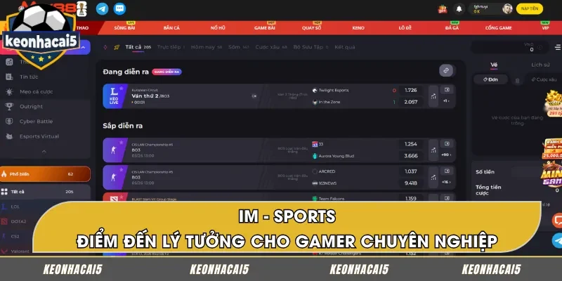 IM - Sports: Giải pháp cho dân chơi chuyên nghiệp
